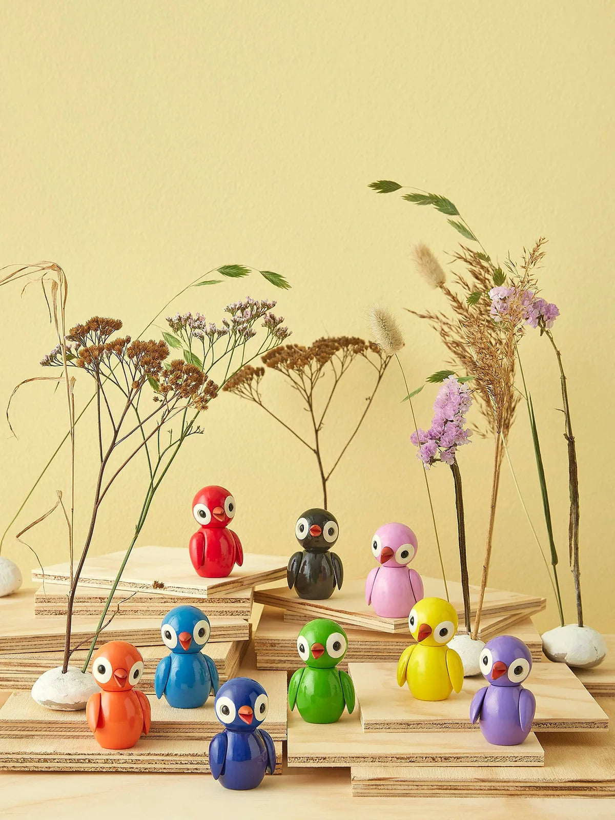 Spring Birds (38)