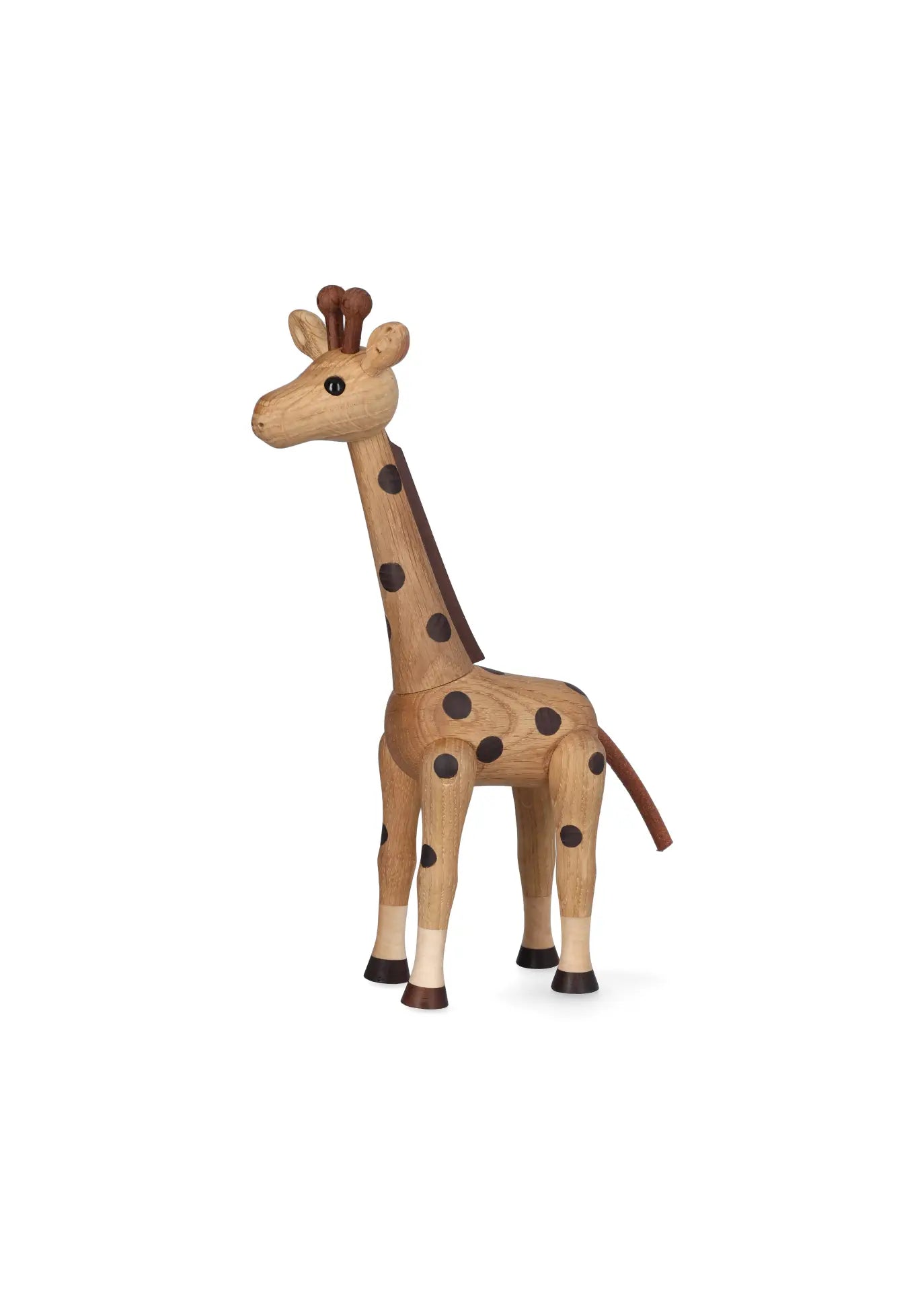 Savanna