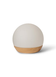 Spring Snowball Ø11